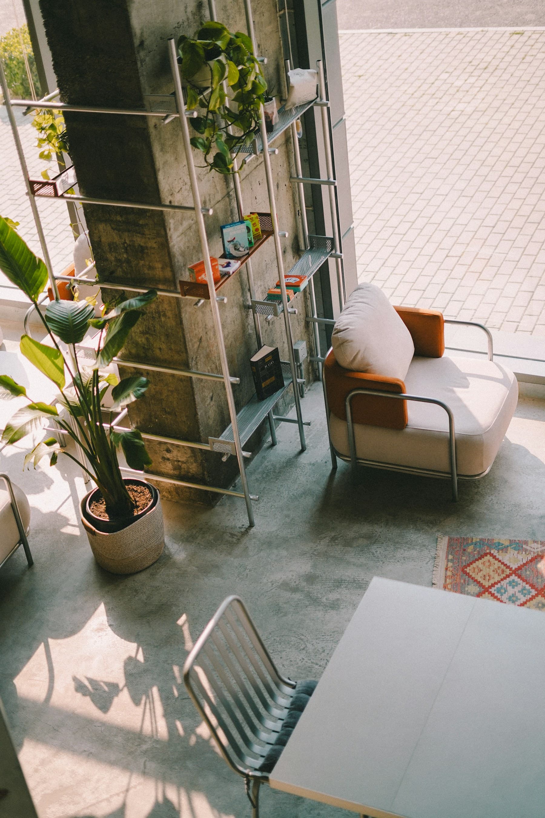 Light-filled room with an armchair, shelves and houseplants